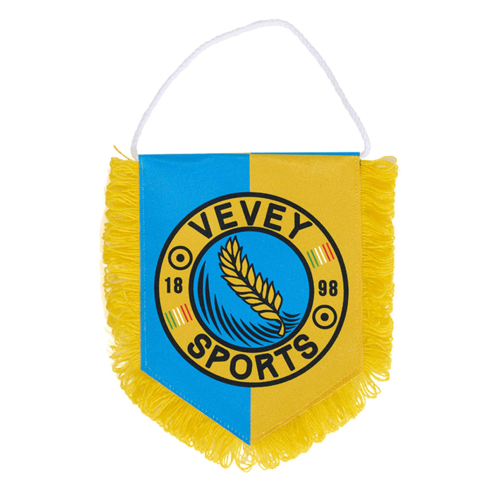 Bedrukte vaan