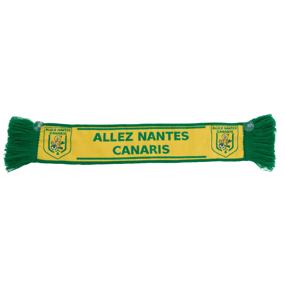 Autosjaal